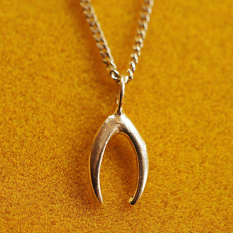 Robin Wishbone Necklace