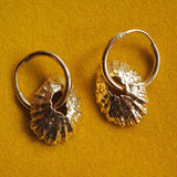 Limpet Shell Earrings