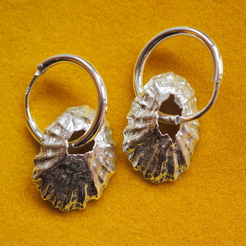 Limpet Shell Earrings