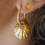 Limpet Shell Earrings