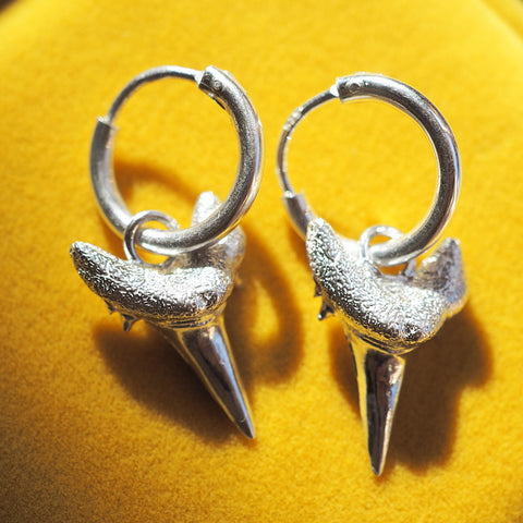 Beltinge Sharks Tooth Earrings