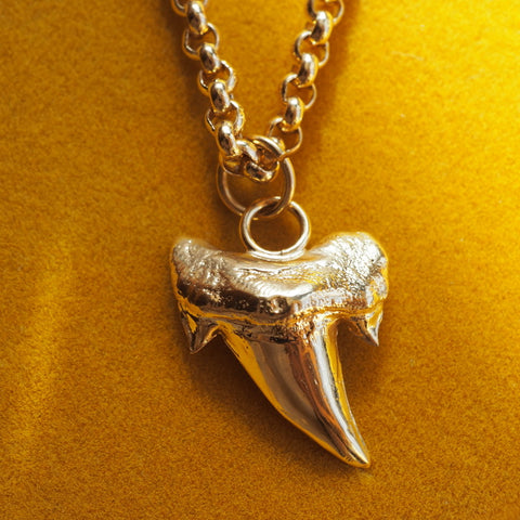 Beltinge Sharks Tooth Necklace