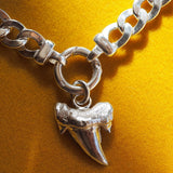 Beltinge Sharks Tooth Necklace
