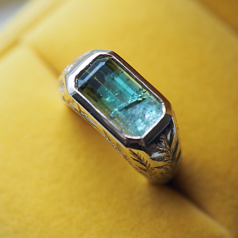 Walpole Bay Ring 3 Tourmaline