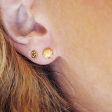 Clam Shell Studs