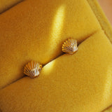 Clam Shell Studs