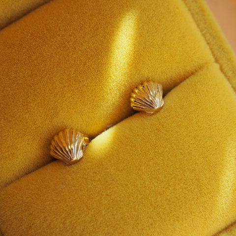 Clam Shell Studs