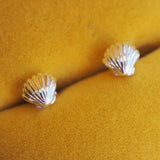 Clam Shell Studs