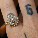 Sea Pearl Urchin Ring