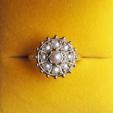 Sea Pearl Urchin Ring