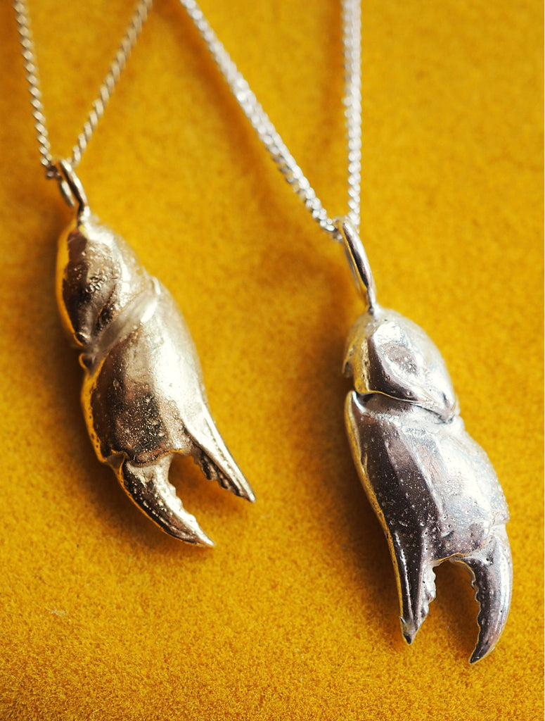 Sterling Silver Crab Claw Necklace - Sea Shell Jewellery — Grace and Flora  Nature Jewellery