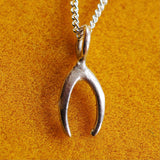 Robin Wishbone Necklace